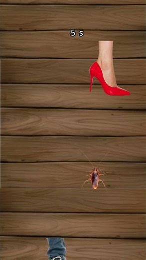 #song #singer game 🎴 for cockroach