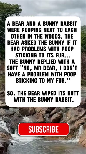 Wrong Question 😂🐻