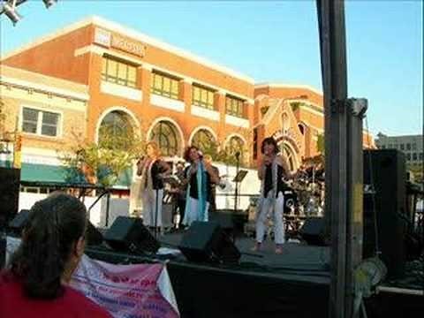 Popsicles and Icicles - The Murmaids