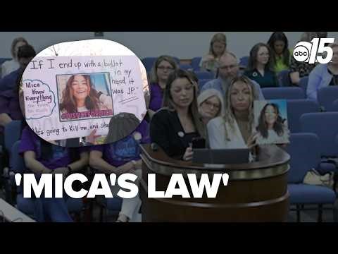 Emotional testimony as SC lawmakers debate redefining abuse to include coercive control