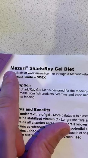 Part 1. Cooking something special for my shark. #foryou #aquariums #reeftank #cooking