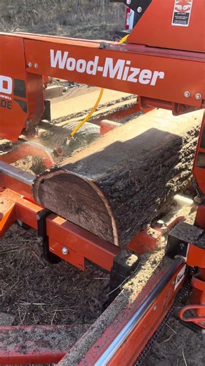 Walnut logs are typically what’s on the sawmill!