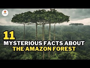 11 facts about the Amazon forest | ‪@Mythosfact‬