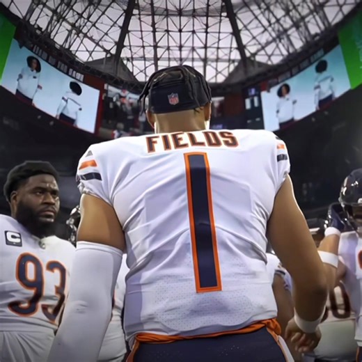 Exploring NFL Fields and Game Day Experiences