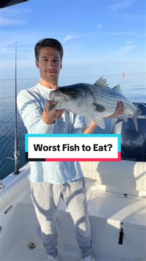 Hot takes only. Worst fish to eat? | fish