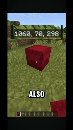 REALM CODE FOR MCPE