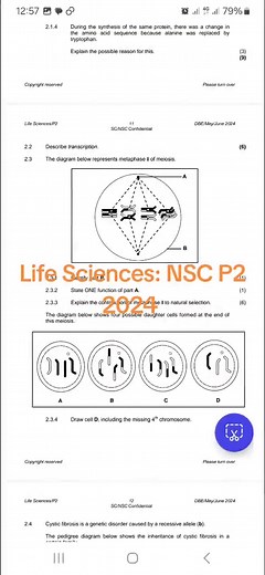 Supplementary Exam P2 Life Sciences 2024 - Grade 12