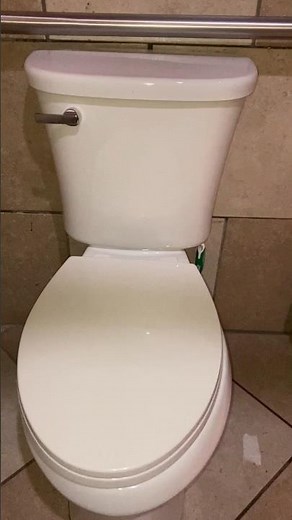 2020s glacier Bay power flush toilet