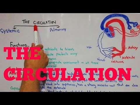 CVS physiology 53. The circulation, functions of circulation, functional parts of circulation.