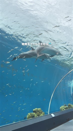 八景島シーパラダイスでの初聖地巡礼