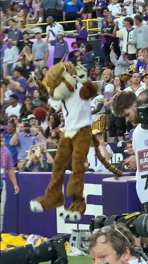 LSU STTDB Neck Chant #lsu #tailoredtechnique #chants #football #batonrouge #love #tigers #happy