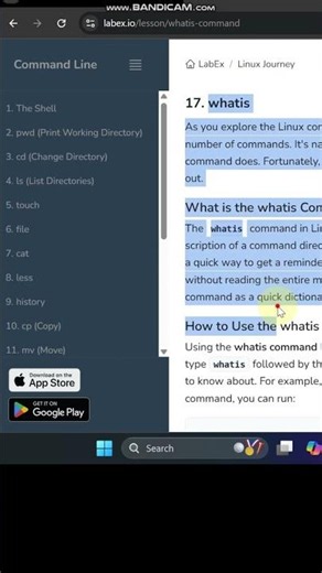 Duolingo for Linux!
