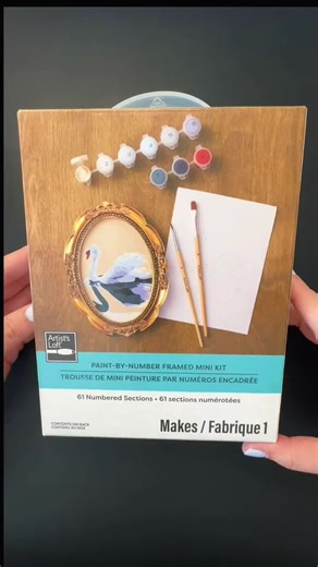 ✨Paint-by-number frame mini kit 🎨🦢🖼️✨ @Michaels Stores #paintbynumbers #mini #diy #hobby #miniature