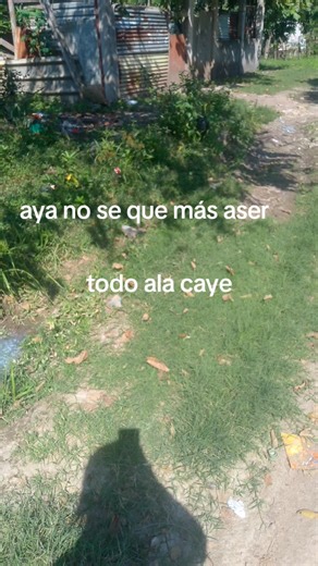 Cómo Ser Famosa y Acabar con los Problemas