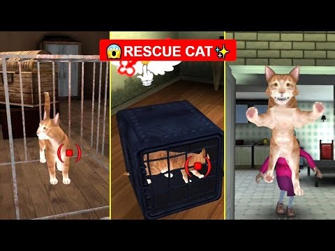 Scary Teacher 3D - Funny Pranks 😅 Rescue Cat from Evil Miss T 😱