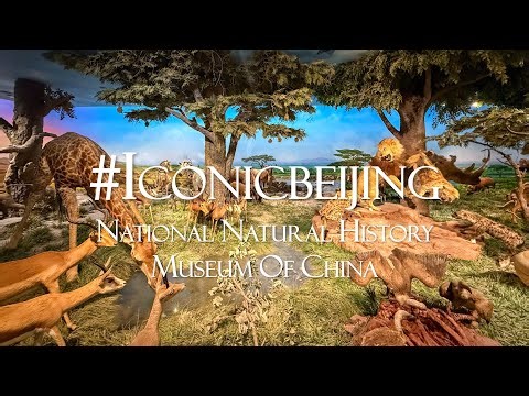 Iconic Beijing—National Natural History Museum of China