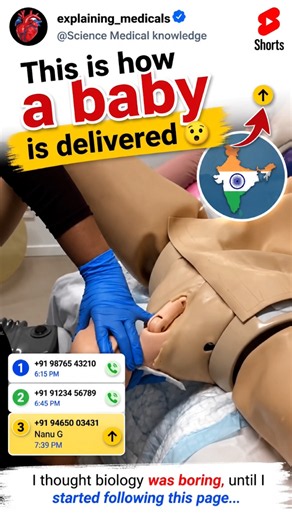 This Is How a Baby Is Delivered 😮 | Medical Facts 🩺👶