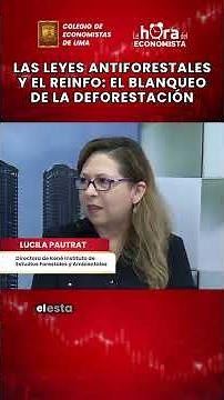 ⚖️ Anti-forestry laws and REINFO: The laundering of deforestation