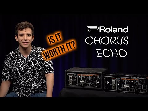 Vintage Roland Tape Delay the Chorus Echo: Is It Worth It? | Roland RE-501 and SRE-555