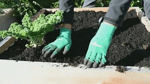 GardenWorks: Fall clean-up