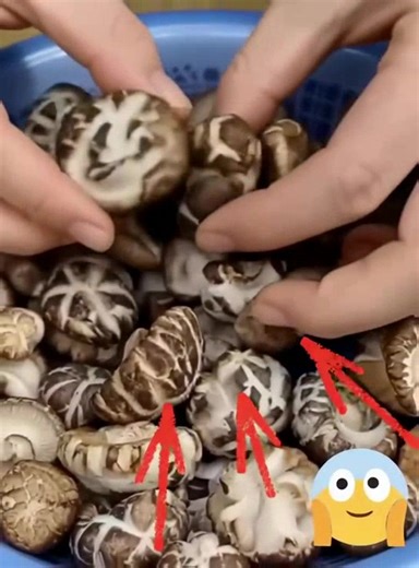 Elle était en train de ranger la chambre de sa fille Lily… Mais ce qu'elle a trouvé sous le lit lui a fait un pincement au cœur et a fait fuir toute la famille, paniquée. 😨🕷 Que se cachait-il là ? 💬 La terrible vérité est dans les commentaires 👇👇👇 | Aimer Tant que Possible