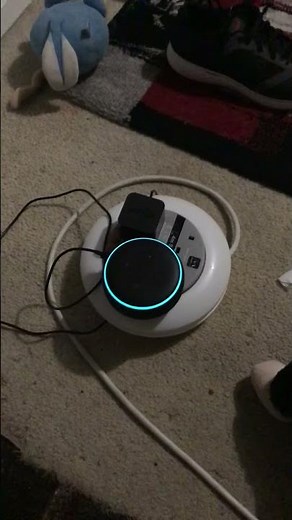 Alexa alarm sound #kyletheringer #bellringing #shorts #alexa #alexaalarm #alarm #bells #amazonecho