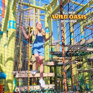 Explore "Wild Oasis" at Busch Gardens Tampa—an immersive, kid-friendly jungle adventure with rides, animals, and water play! | Busch Gardens Tampa Bay