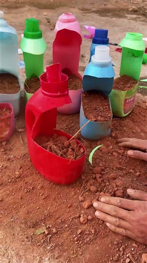 Creatively make plant containers from bottles #shorts