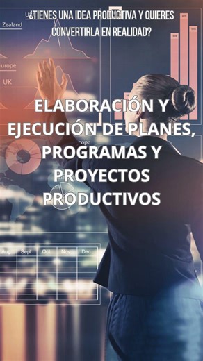 Elaboración y Ejecución de Planes, Programas y Proyectos Productivos