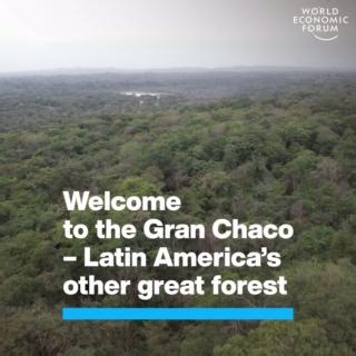 The Gran Chaco spans more than 1 million km² - but it’s being destroyed by unsustainable #farming styles, and is often overlooked in favour of its better-known neighbours, the #Amazon and the #Cerrado. The World Economic Forum has published a white paper, The Gran Chaco: Pathways Towards a Sustainable Future, which outlines essential steps to protecting this critical #ecosystem. Read it here: https://ow.ly/14xA50WXnkk | World Economic Forum
