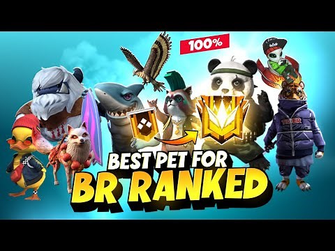 Best Pet In Free Fire 🔥 | Top 5 Useful Pet For Br Rank