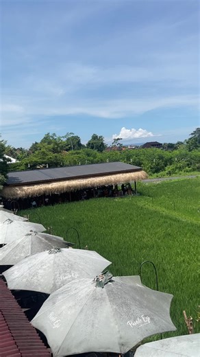 Guts (@guts.59)’s videos with Young Folks by Peter Bjorn and John - ruby