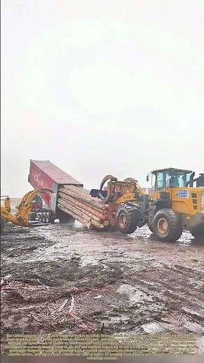 Logging Leverage: The Machine Logic Behind Unloading Timber