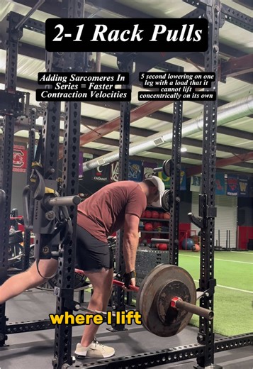 Eccentric Training: Boost Your Speed with Sarcomeres