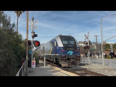 Amtrak 8302 Capitol Corridor Train 734 North - Great America Station Ped. Crossing, Santa Clara CA