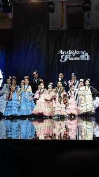 The fifteenth edition of Andújar Flamenca kicks off