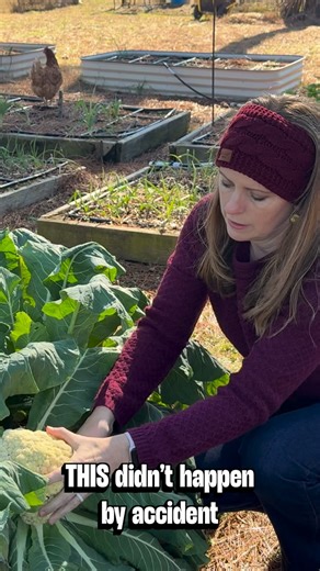 This didn’t happen by accident. 🌱 A productive garden is built before the season starts. And I’m teaching exactly how in a live class. The Productive Garden Masterclass is officially open for registration 🎉 In this live training, I’ll teach you how to: • Stop guessing and finally understand what to plant and when for spring, summer, and fall • Build a garden plan that supports consistent harvests, not everything ripening at once • Avoid the mid-season scramble of “What do I plant now?” and “Di