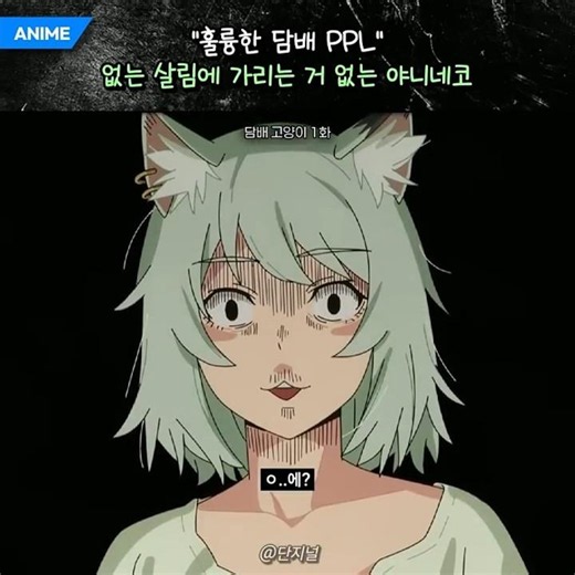 Let's learn from the positive mindset of the smoking cat