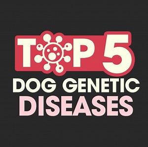 26K views · 131 reactions | Genetic diseases are unfortunately quite...