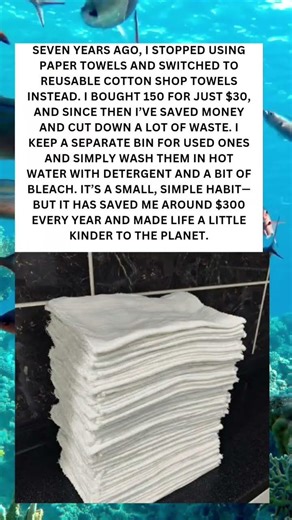 A Simple Switch That Saves $300 a Year & Protects the Planet 🌍💚