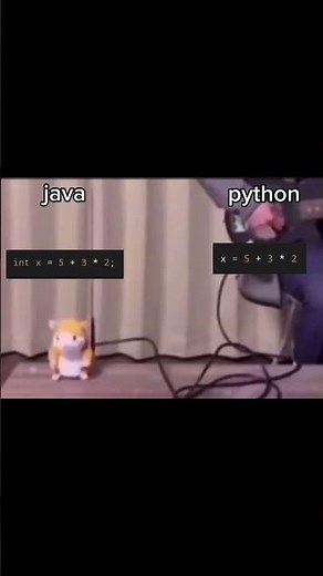 Java vs Python | #codemug