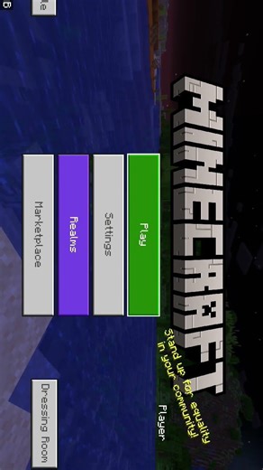 Me vs fully netherite zombie ☠️💀