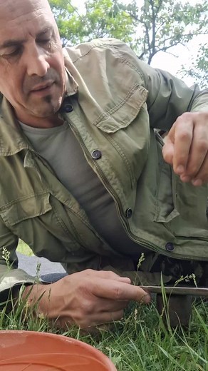 Elvir Cikaric Artist (@elvir.cikaric.art)’s videos with Selo Moje Mesto Najmilije - Milance Radosavljevic