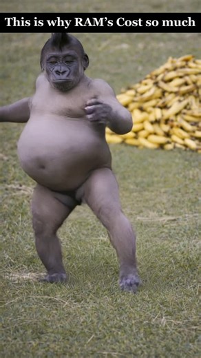 Buzz Reels on Instagram: "This is why rams are $900 #funnnycomedyreels😄😆🤭☺️ #monkey #dance"