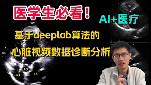 2026年医学生必看的（AI＋医疗）课程！基于deeplab的心脏视频数据诊断直接搞定论文和项项目！附完整数据集！AI/医学影像/医学图像处理/计算机视觉