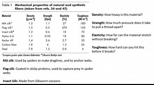 Why is spider silk so strong? Can we scale it up?