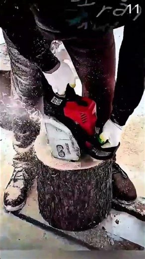 Cutting large tree stump using STIHL chainsaw
