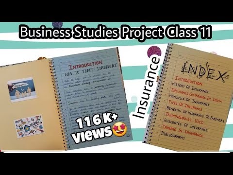 Business Studies Project Class 11 || Aids To Trade : Insurance || Project On Insurance