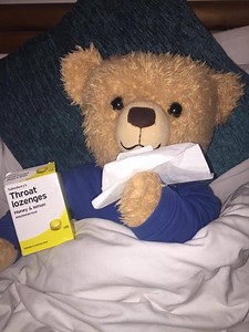 Teddy Bears Picnic Song | History Of The Song, Lyrics & Video – Eddy the Teddy Bear