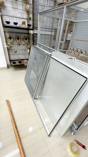 A portable mini aviary designed for easy movement and long lasting durability. This aluminum build is rust resistant and can be folded and reassembled anytime. A clean and safe space for small finches to stay active and healthy. #FinchAviary #BirdRoom #FinchCare #AluminumAviary #HighCPMVideo | Indra Prihantoro